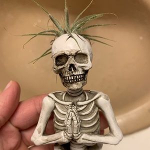 Trader Joe’s Yogi Skeleton Air Plant Planter